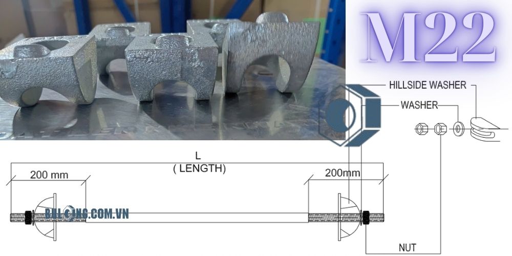 ứng dụng long đền móng ngựa m22
